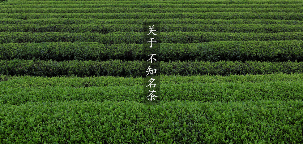 不知名茶官网－让爱茶人一键连接全世界的茶山